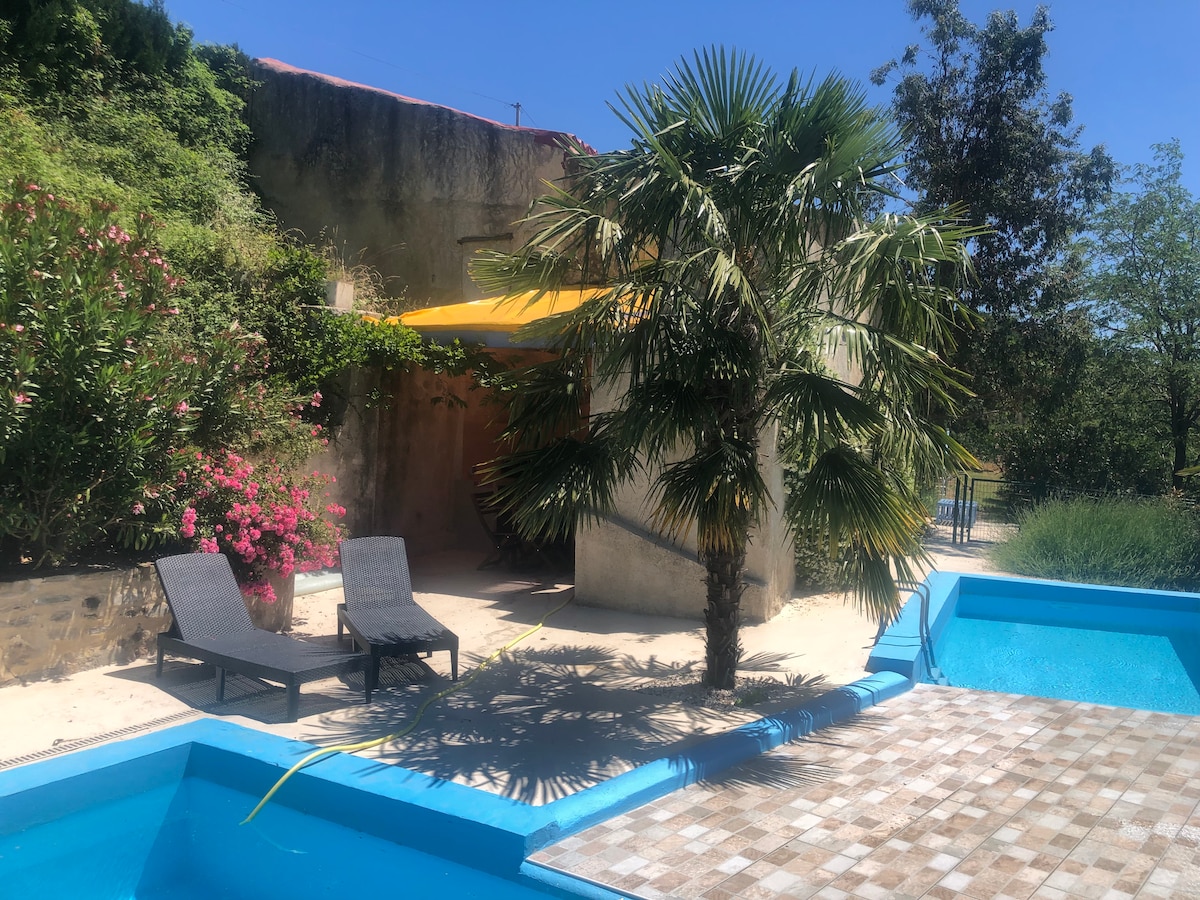 A serene outdoor space is highlighted by two lounge chairs positioned near a crystal-clear pool. A vibrant palm tree offers shade beside colorful blooming flowers. The area features a bright yellow awning that creates a cozy atmosphere, enhancing the sense of relaxation.