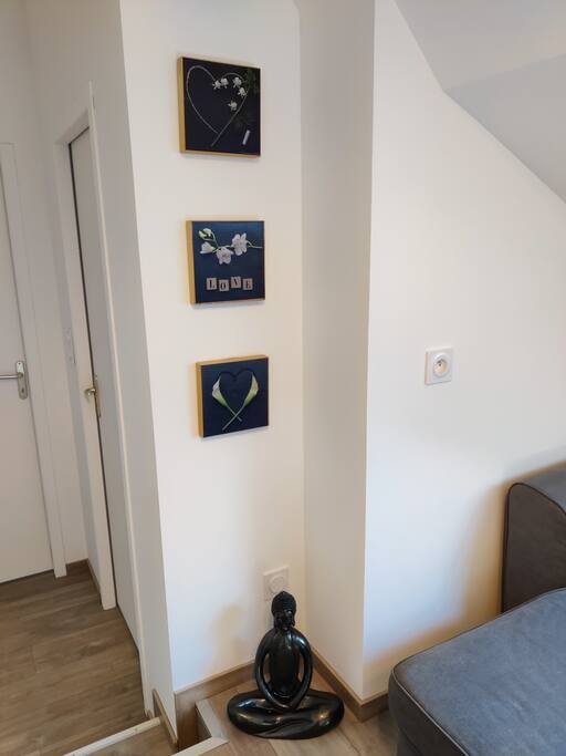 picture 1