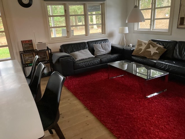 A living area features a sleek black leather sofa with patterned cushions, complemented by a glass coffee table. A textured red rug anchors the space, while ample natural light enters through multiple windows, offering views of the surrounding greenery.