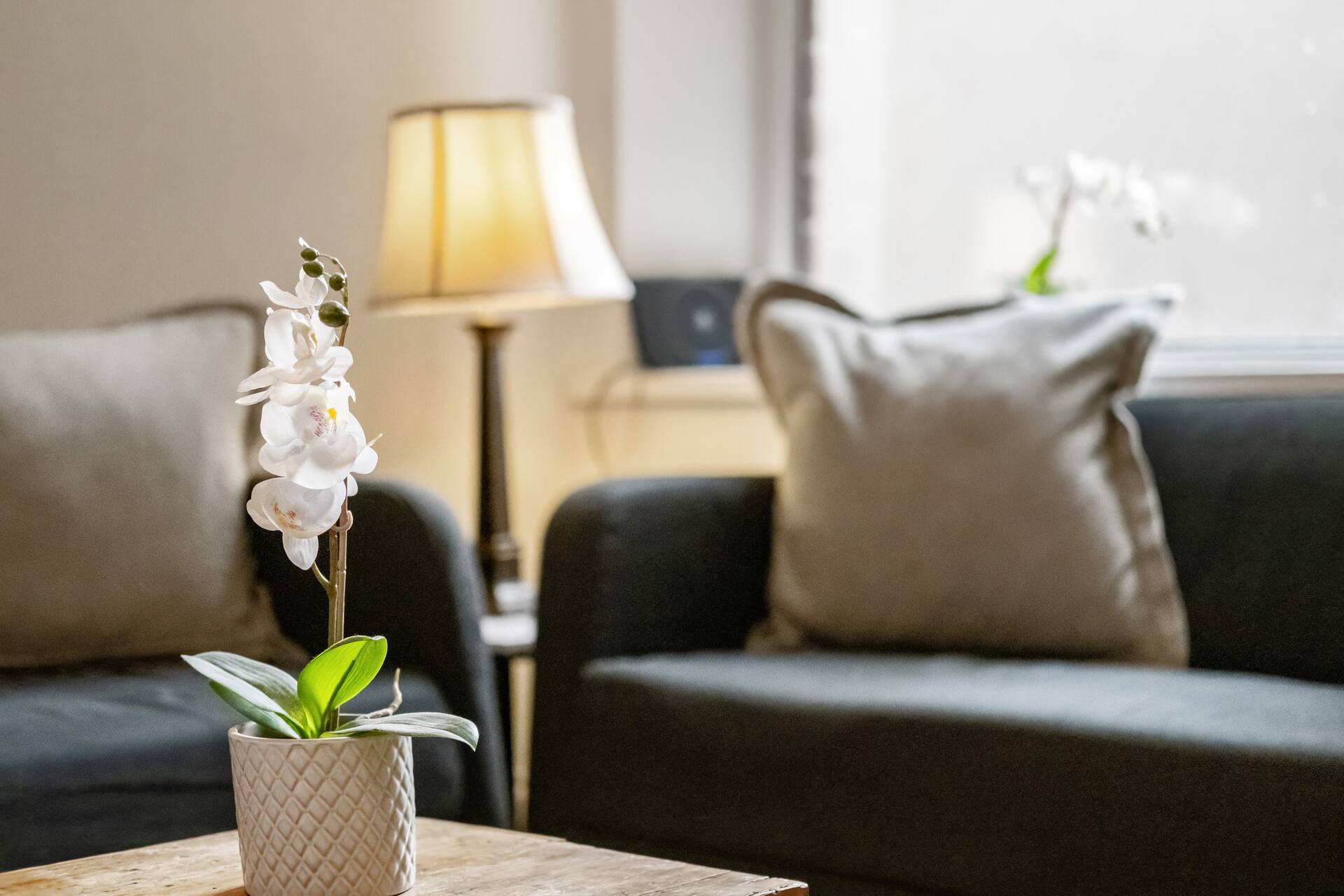 Huge serviced Apartment with FREE PARKING — photo 5
