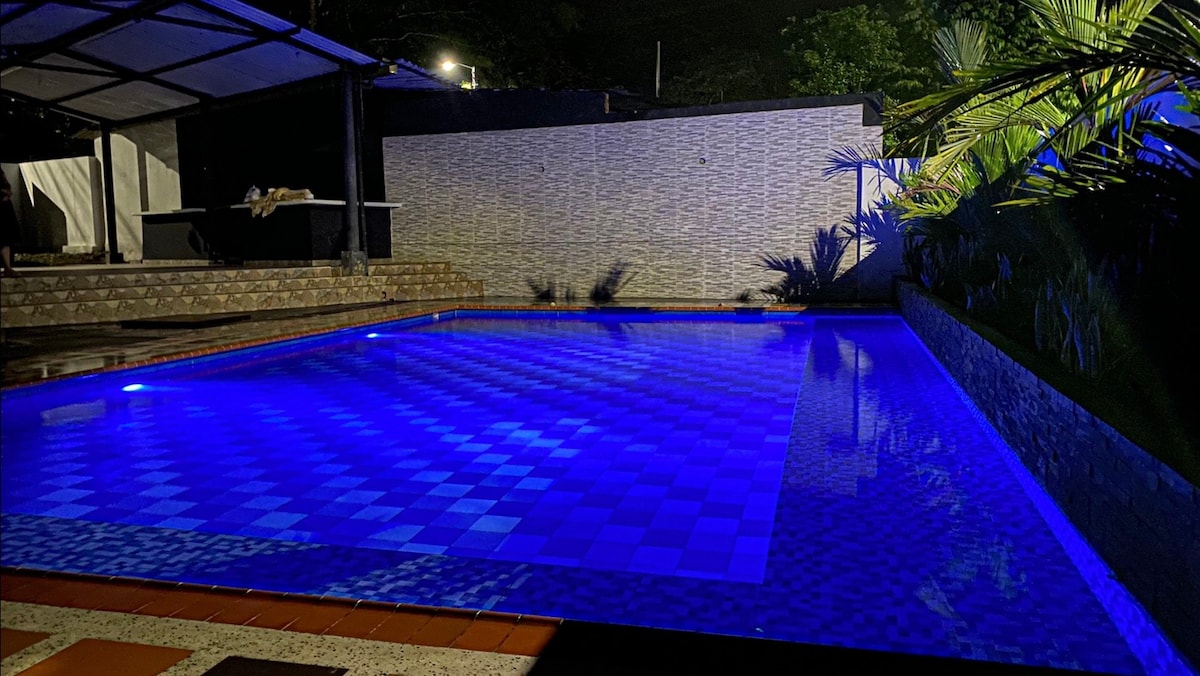 The spacious pool is illuminated in calming blue tones, surrounded by lush greenery. A covered area in the background offers shaded seating, while textured walls line the pool area, providing an inviting space for relaxation.