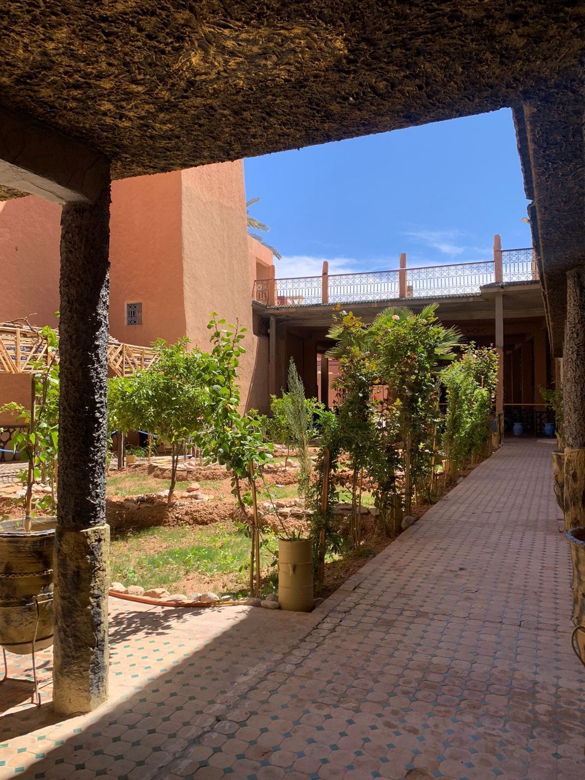 A sunlit courtyard is framed by textured walls, featuring neatly arranged greenery with young plants lining the pathway. The vibrant sky provides a contrasting backdrop to the warm hues of the surrounding structures. A balcony is visible above, enhancing the openness of the space.