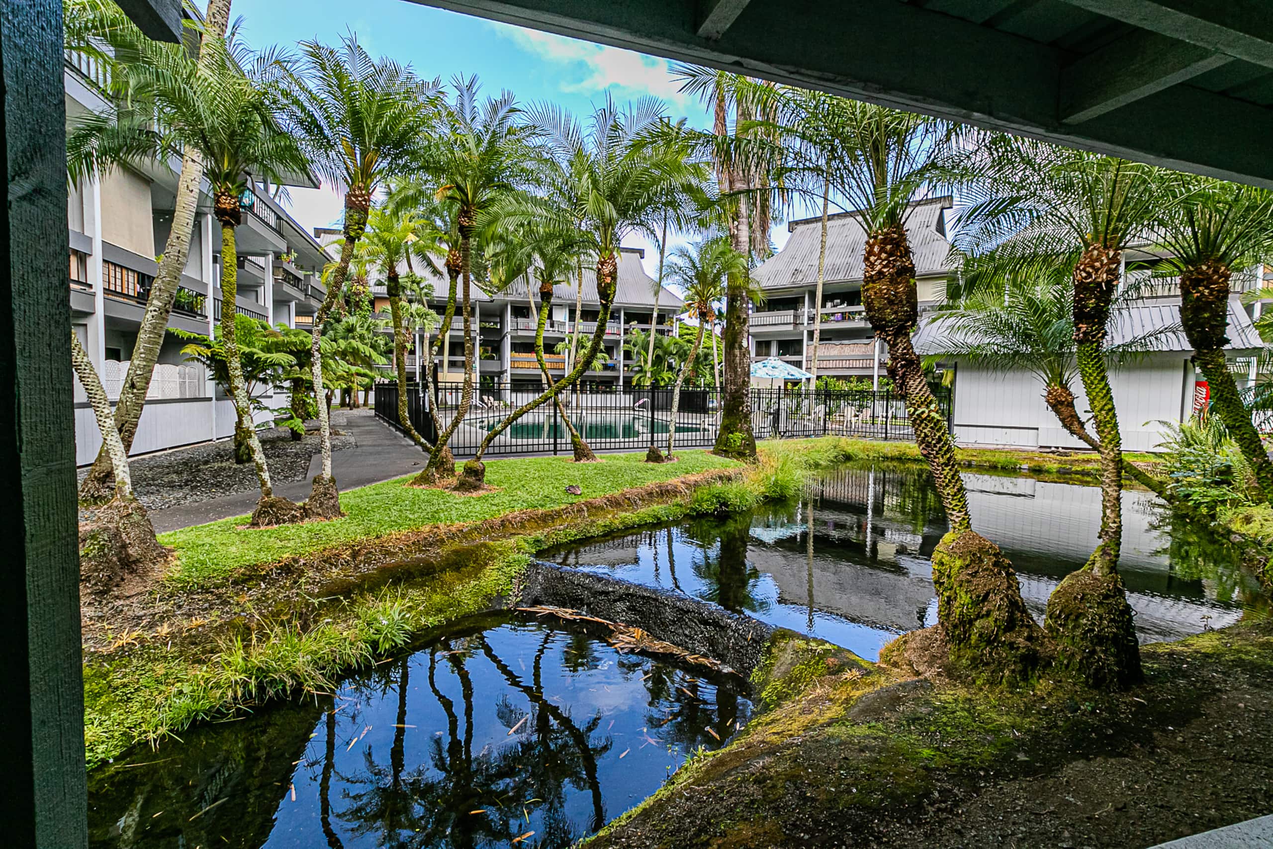 Condo in Hilo · ★4.58 · 1 bedroom · 1 bed · 1 bath - Image 22