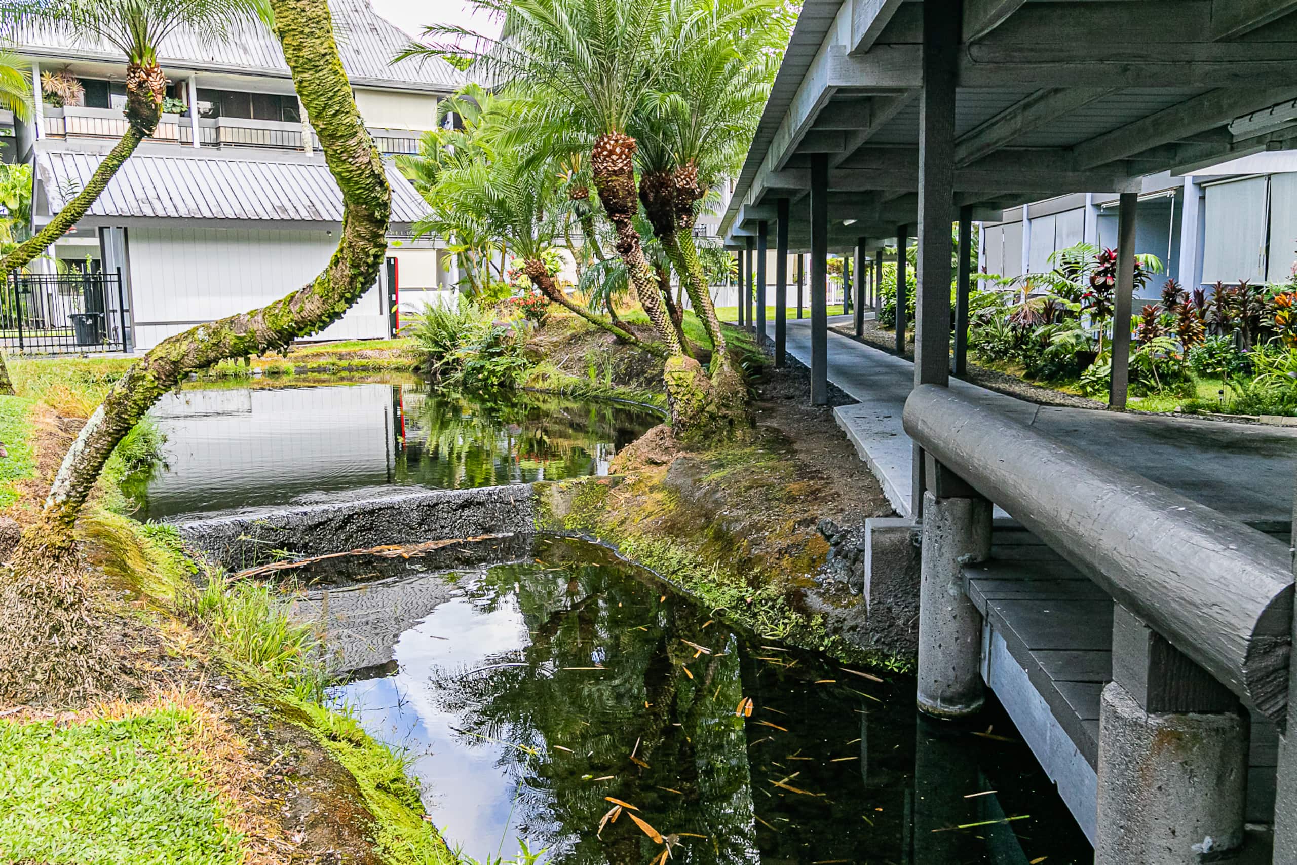 Condo in Hilo · ★4.58 · 1 bedroom · 1 bed · 1 bath - Image 33