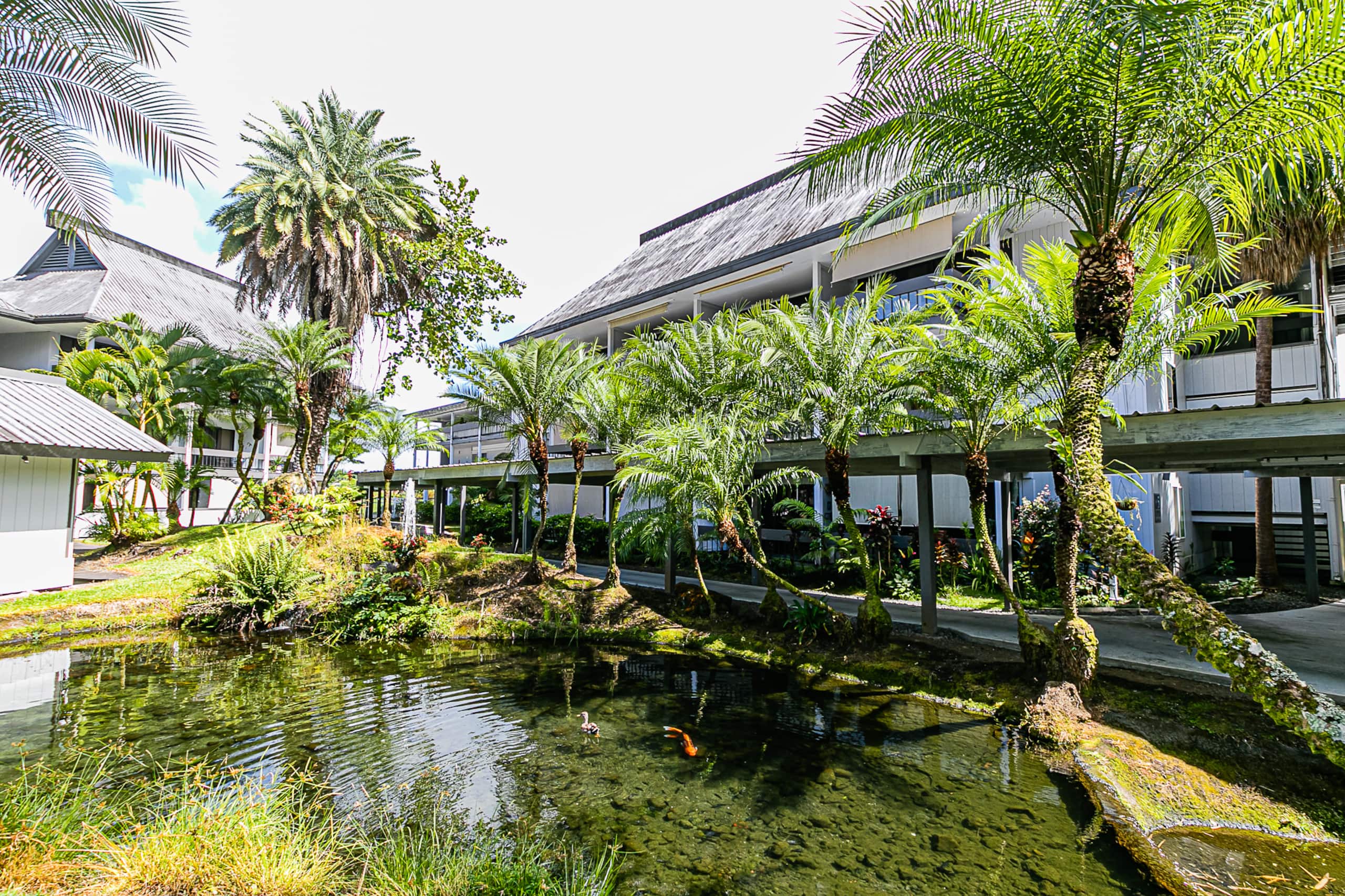 Condo in Hilo · ★4.58 · 1 bedroom · 1 bed · 1 bath - Image 23