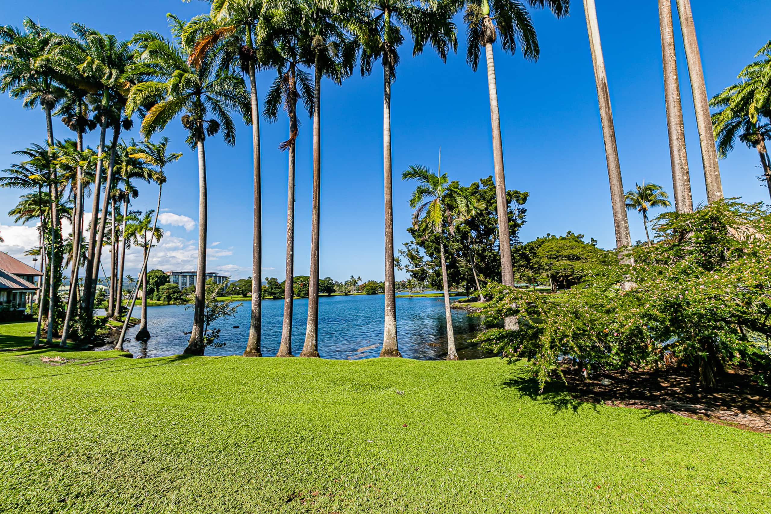 Condo in Hilo · ★4.58 · 1 bedroom · 1 bed · 1 bath - Image 29