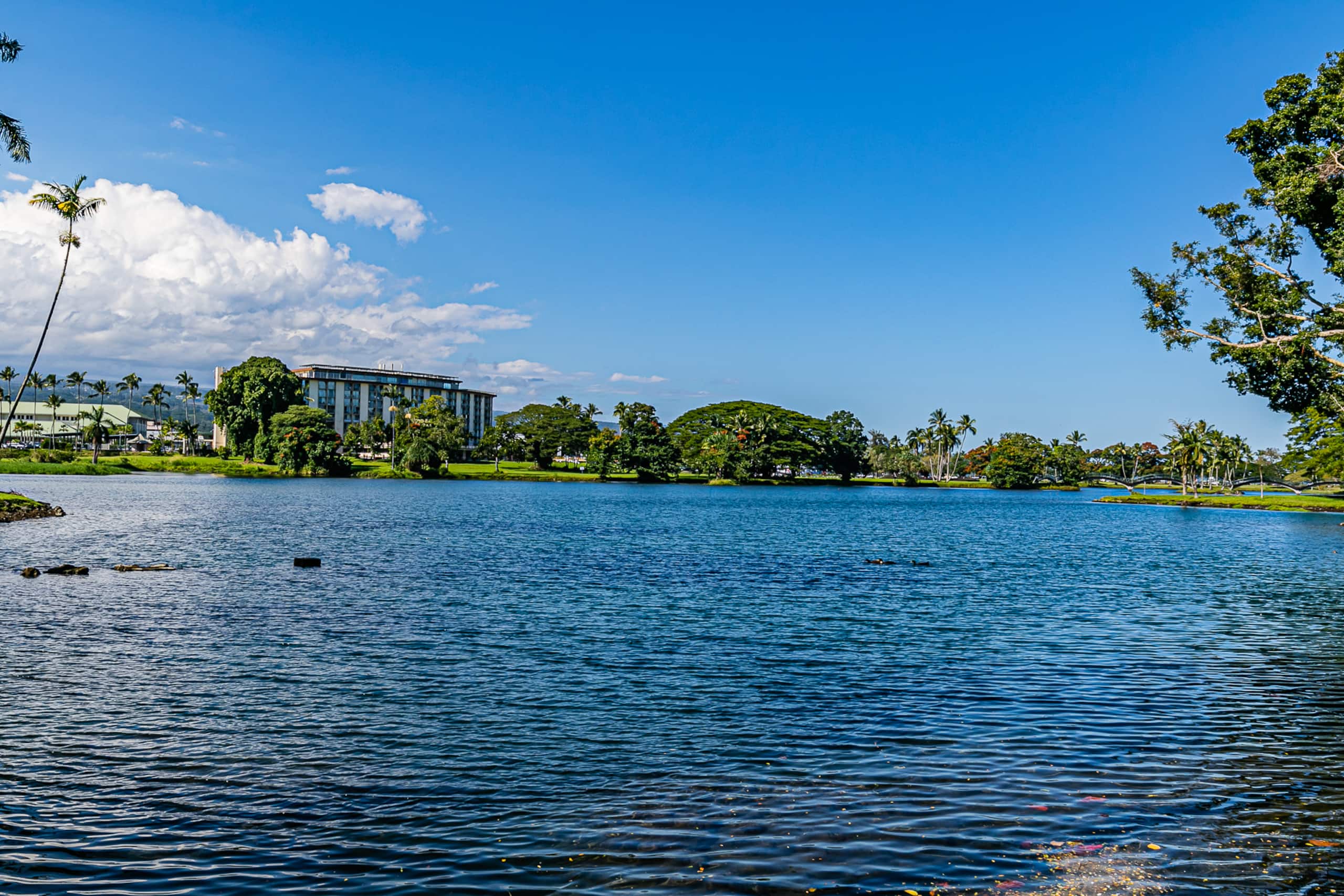 Condo in Hilo · ★4.58 · 1 bedroom · 1 bed · 1 bath - Image 28