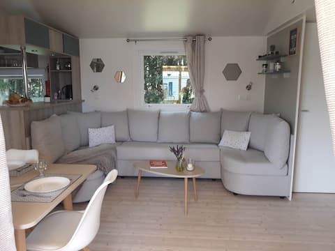 Le Bil' Home des Bois in Normandy - Forest View