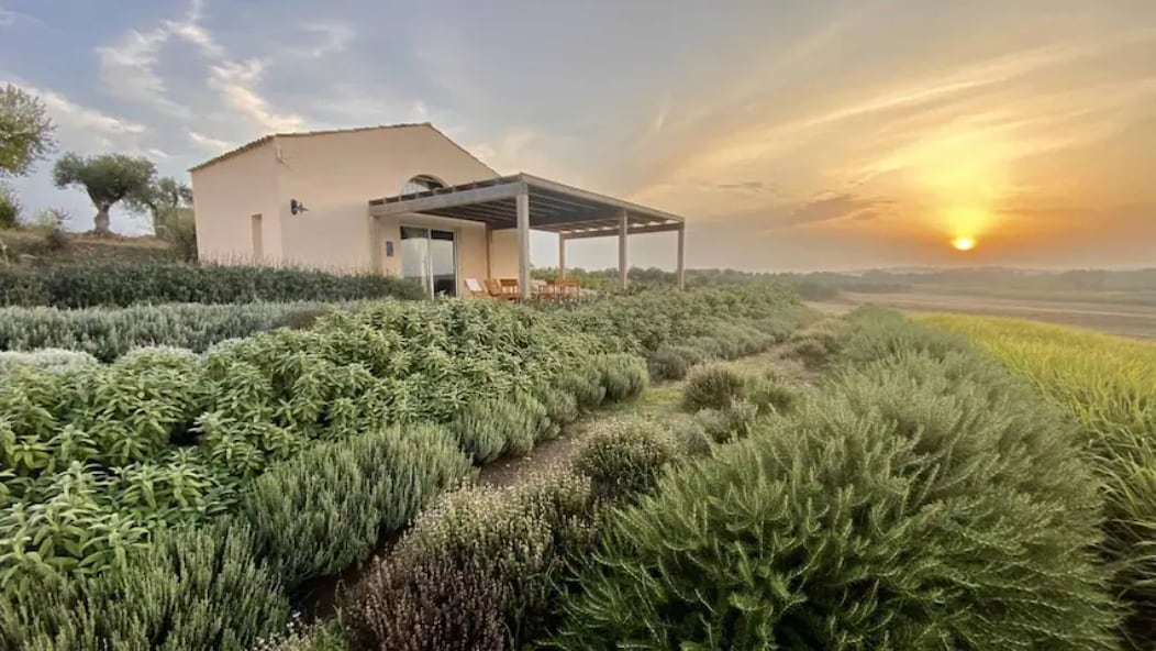 A charming building is positioned against a vibrant sunset, with a covered outdoor seating area visible. Lush greenery surrounding the property includes aromatic herbs and low shrubs, enhancing the serene landscape. The scene encapsulates the tranquil ambiance of the Sicilian countryside.