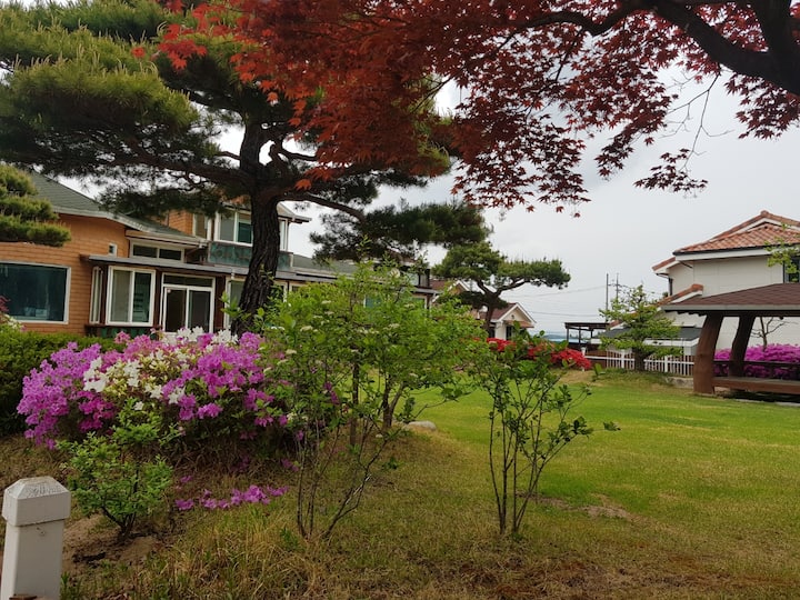 A healing space with recovery and sharing
-Shalom's House-