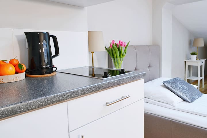 Uroczy Apartament Na Poddaszu - Ulica Floriańska - Cracovie