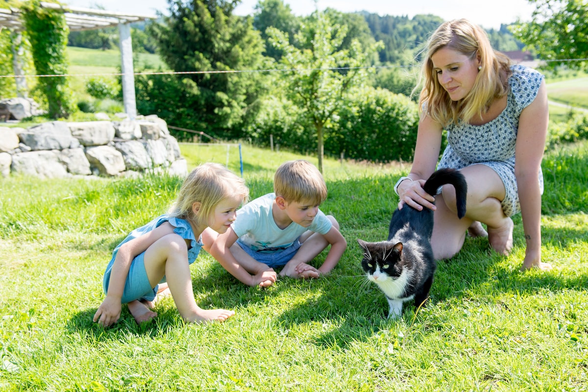 A grassy outdoor area is depicted, where two children kneel closely to observe a black and white cat. A woman sits beside them, creating a relaxed atmosphere. Lush trees and a stone feature are visible in the background, enhancing the natural setting.