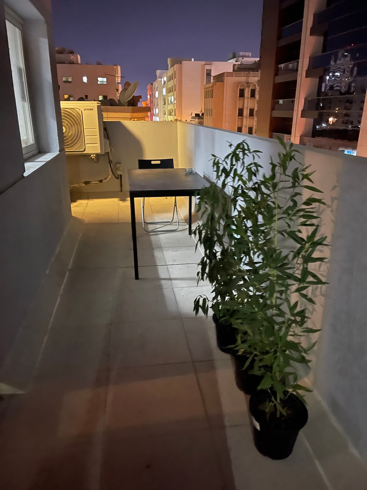 Successful Airbnb property: Private pod in CENTER DEIRA 3 stops from DXB in Al Muraqqabat