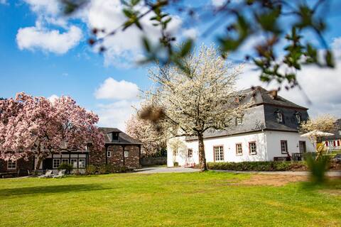 Martinshof-Exclusive house with garden by the Mosel