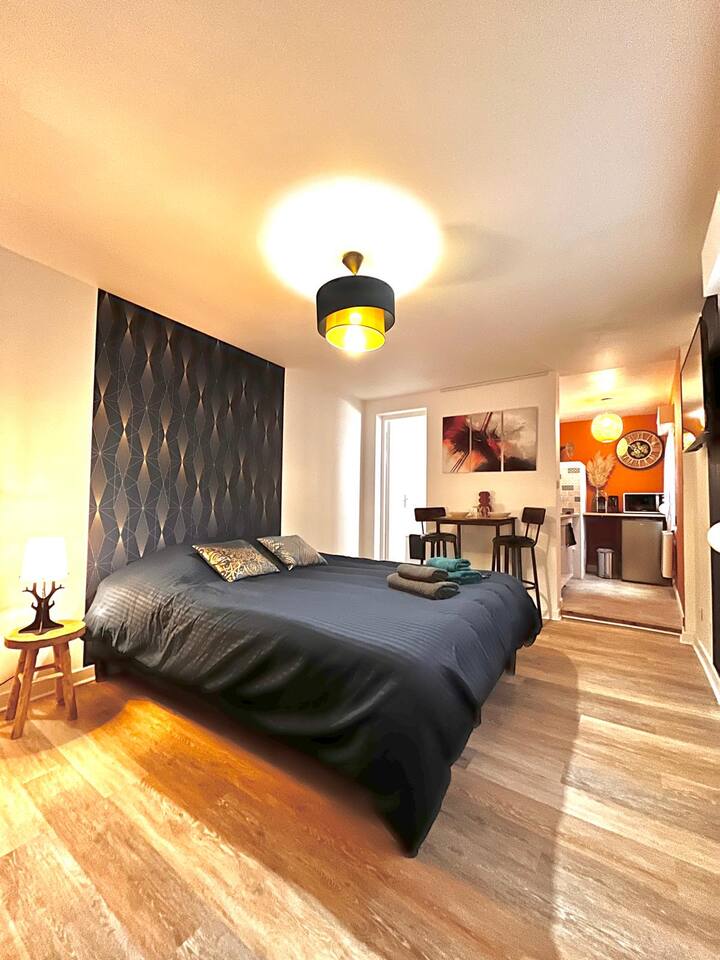 Charming studio in the city center of Chartres Apartments for Rent in