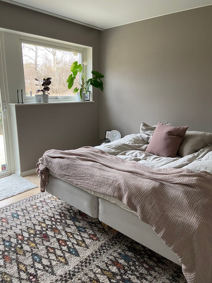 Habitación 1