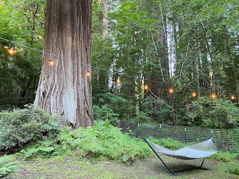 Lovely 2 bedroom redwood river retreat.