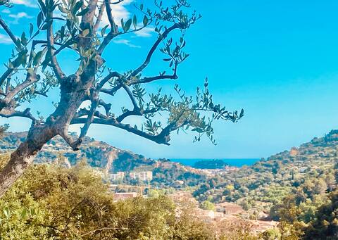 Villa Cocooning with pool on the heights of Nice