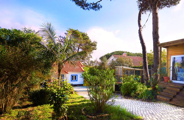 Familientraum in Strandnähe gallery image 5