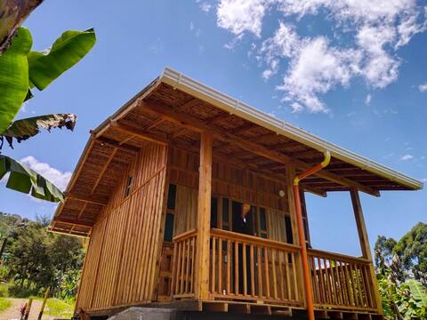 Beautiful and comfortable cabin in the middle of coffee plantations.