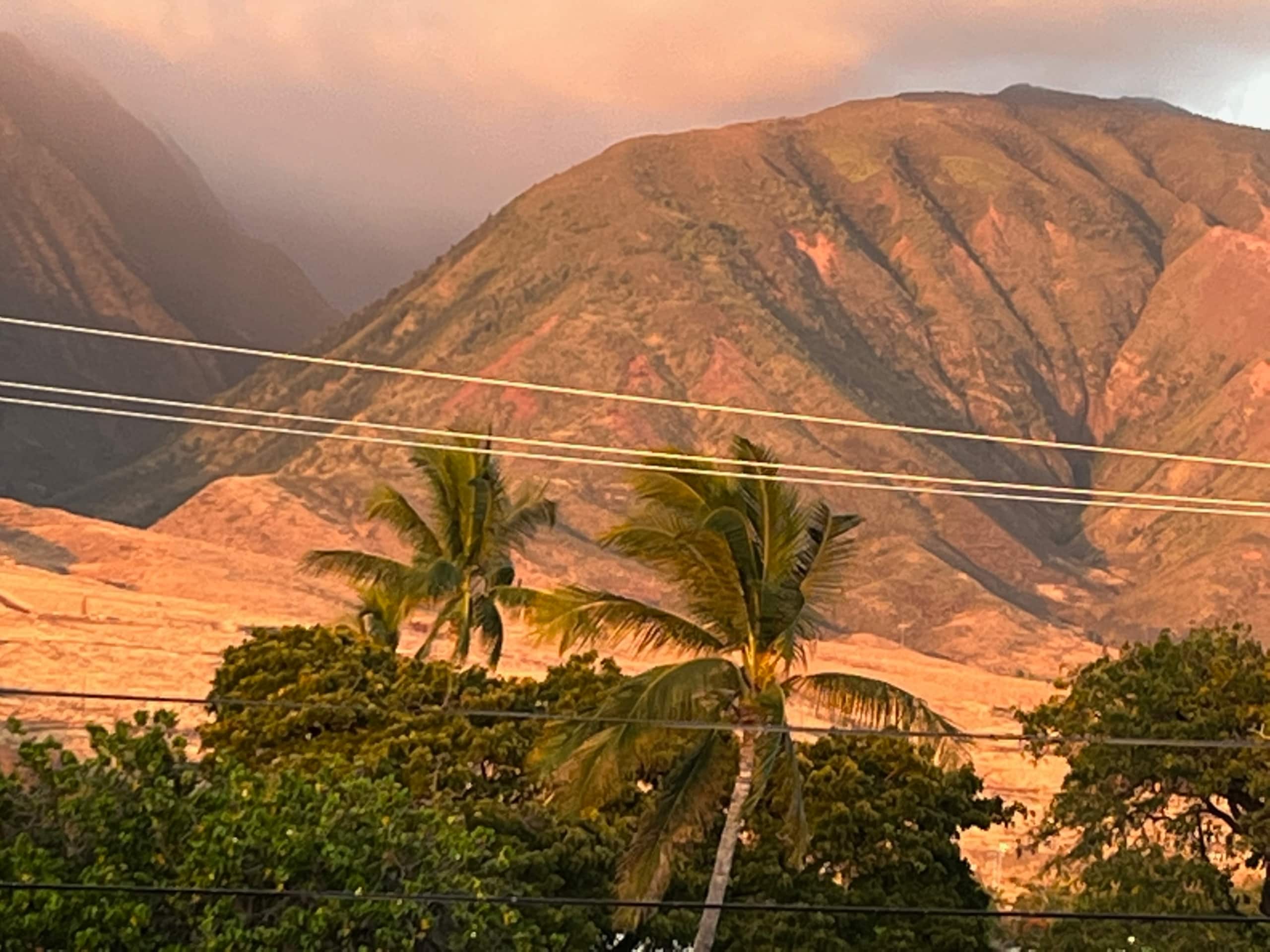 Beachfront Condo Lahaina Shores.  Fully upgraded! - Image 23