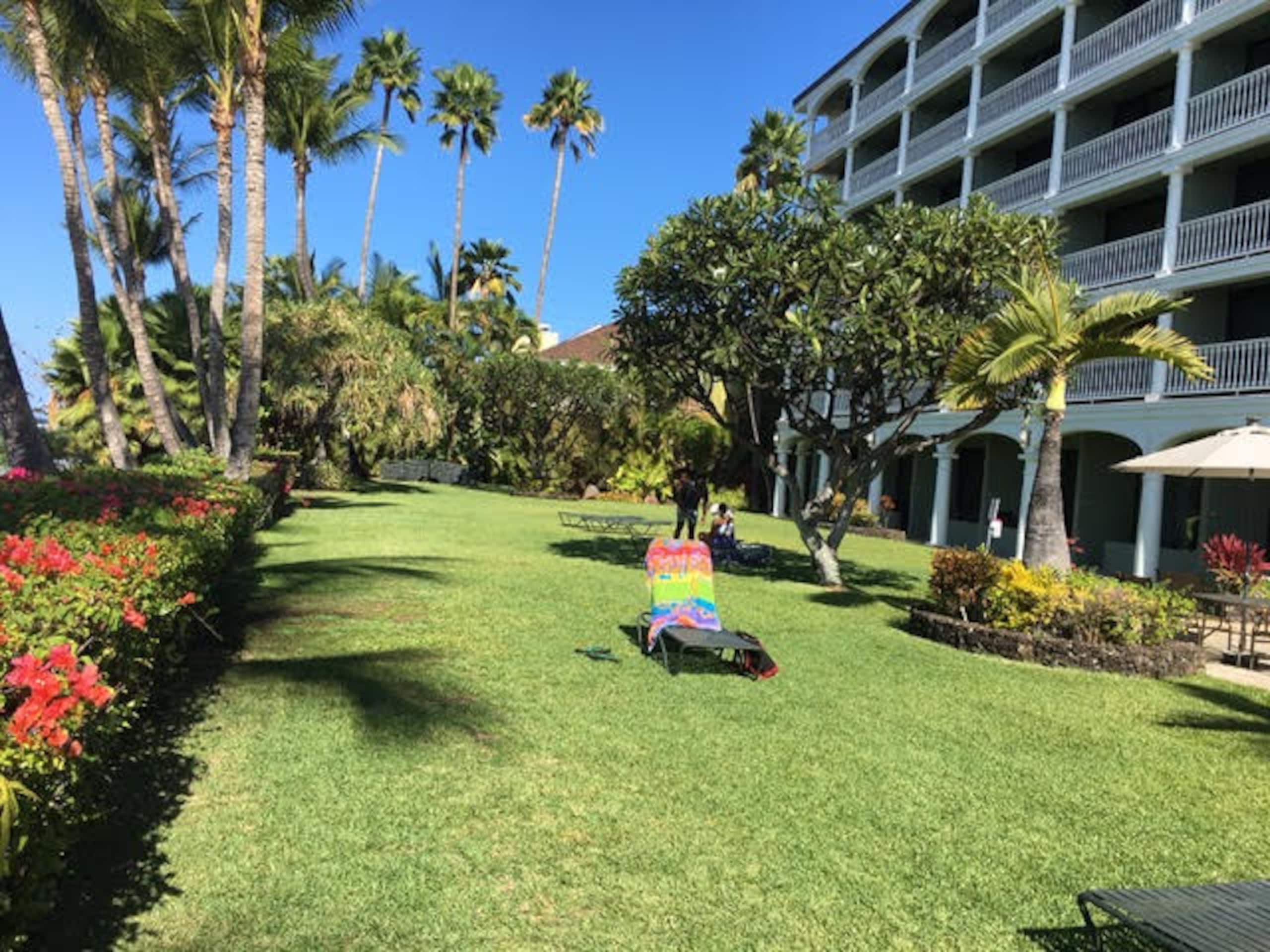 Beachfront Condo Lahaina Shores.  Fully upgraded! - Image 8