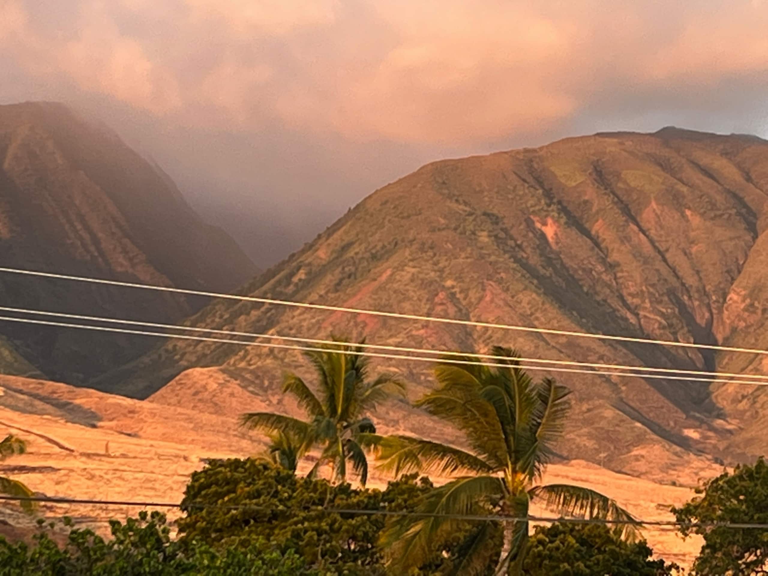 Beachfront Condo Lahaina Shores.  Fully upgraded! - Image 22