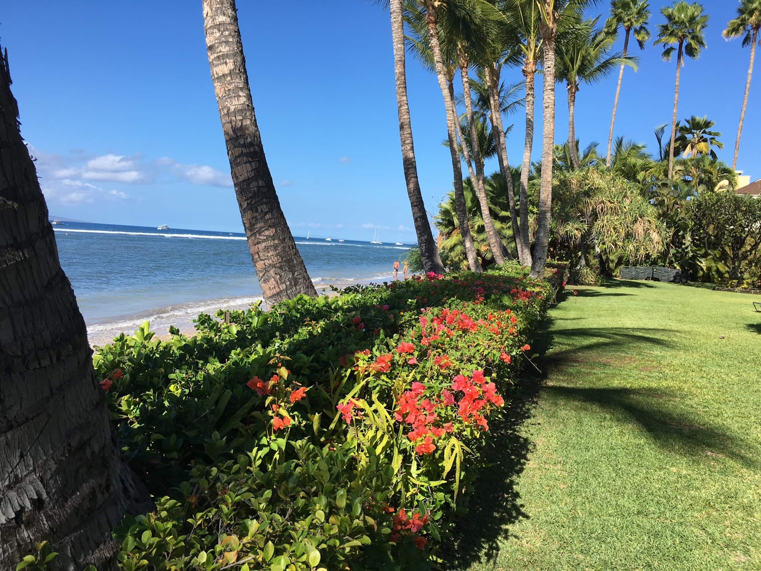 Beachfront Condo Lahaina Shores.  Fully upgraded! - Image 16