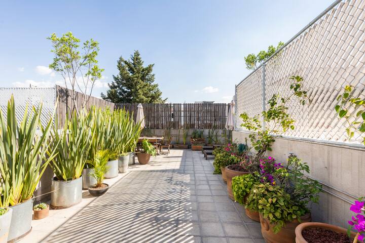 2BR 2BTH, Private Roof Garden in Condesa gallery image 2
