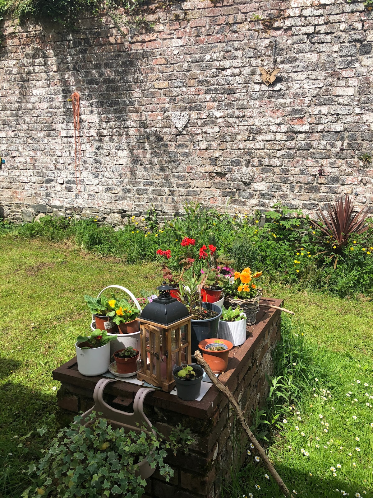 A small garden area features a variety of potted flowers and plants on a wooden table. Bright colors from the blooms contrast with a weathered stone wall, while greenery surrounds the arrangement, creating a serene outdoor space.