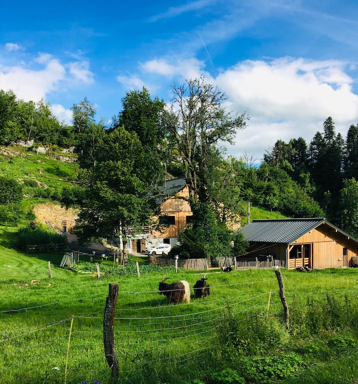 Gîte le Creux de Vennes