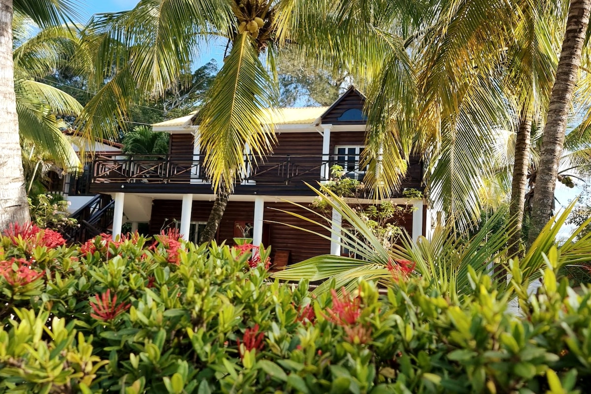 A charming wooden house is surrounded by lush greenery and colorful flowers. Tall palm trees create a tropical ambiance. The structure features a distinctive balcony and large windows, allowing natural light to brighten the interior.