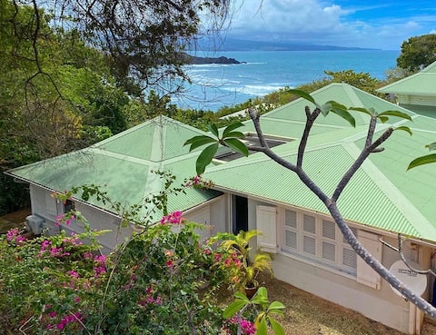 "La maison du surf" vacation villa