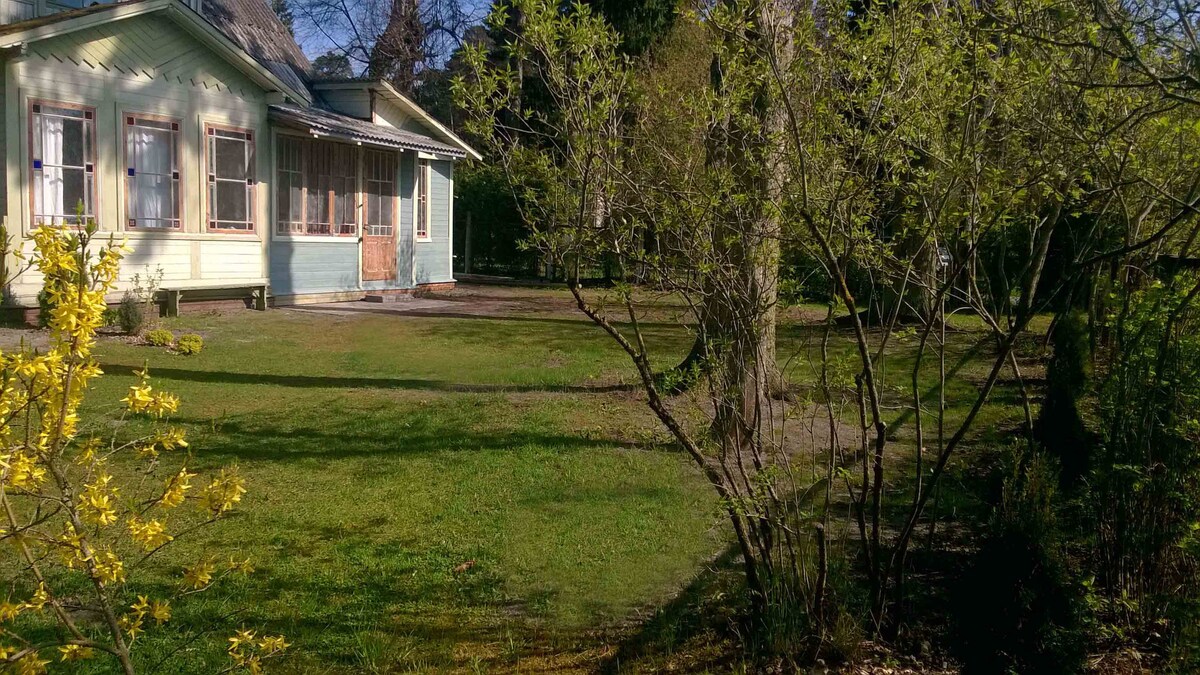 A spacious lawn is surrounded by greenery and features a charming house with a front porch. Sunlight highlights the fresh grass, and trees provide a natural border. Yellow flowers bloom near the edge, adding a touch of color to the serene outdoor setting.
