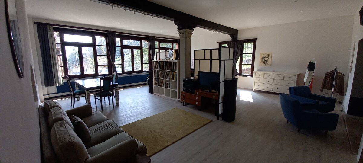 A spacious living area is furnished with a comfortable sofa and two blue chairs. A dining table is set for gatherings, while a partition separates areas. Large windows allow natural light to fill the room, illuminating wooden columns and a bookshelf filled with vinyl records.