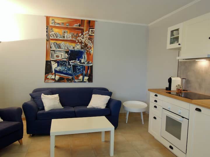 sala de estar con cocina equipada horno eléctrico, microondas, placa de inducción , nevera con compartimento congelador, cafetera "nespresso", sofá convertible en cama de 140x200.