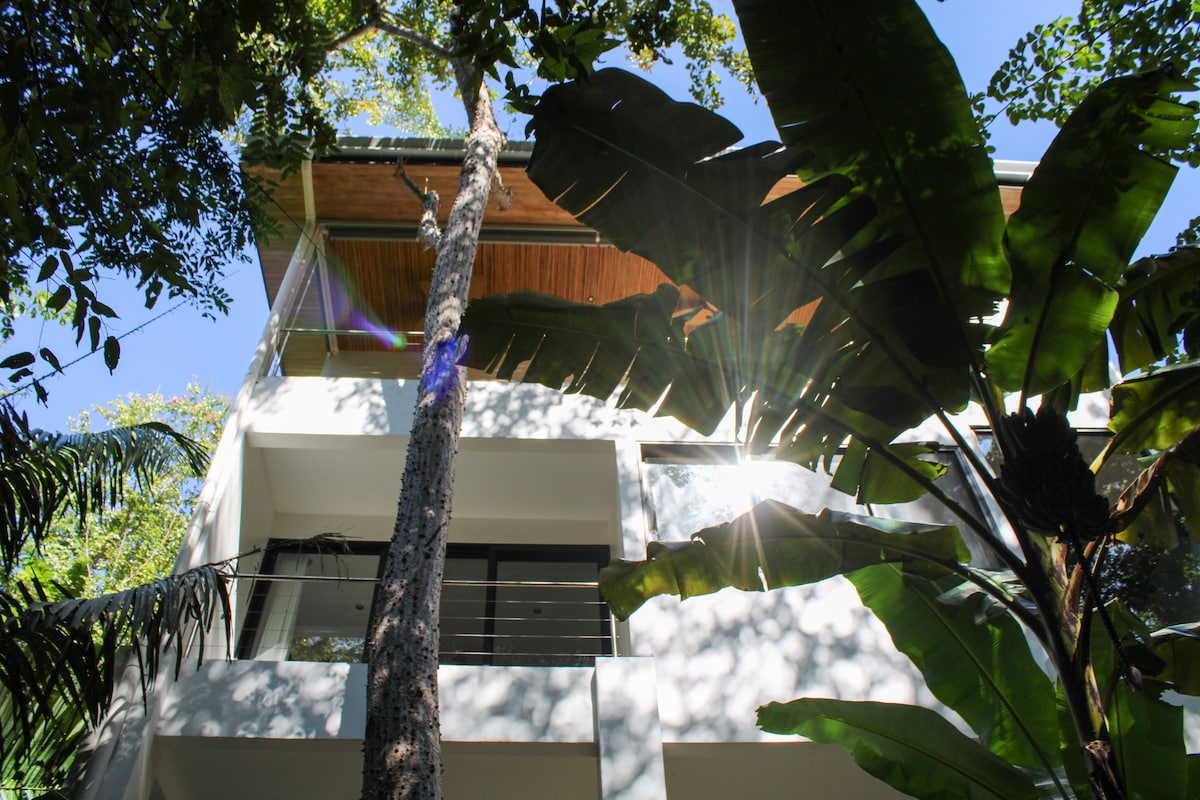 The new two-story house is surrounded by lush greenery, with tall trees partially framing the upper levels. Sunlight filters through the leaves, casting gentle shadows on the crisp, white exterior, highlighting the modern design and expansive glass features.