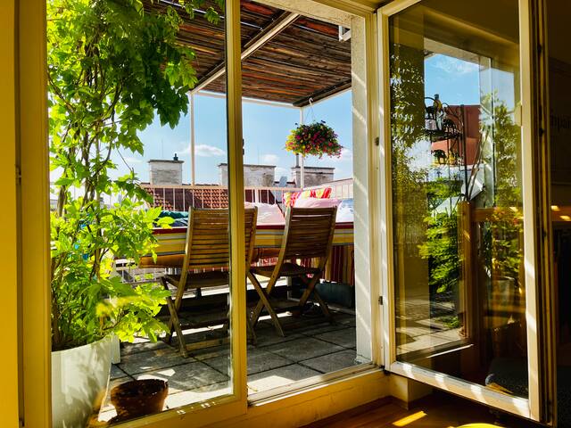 Rooftop OASIS in the heart of Vienna