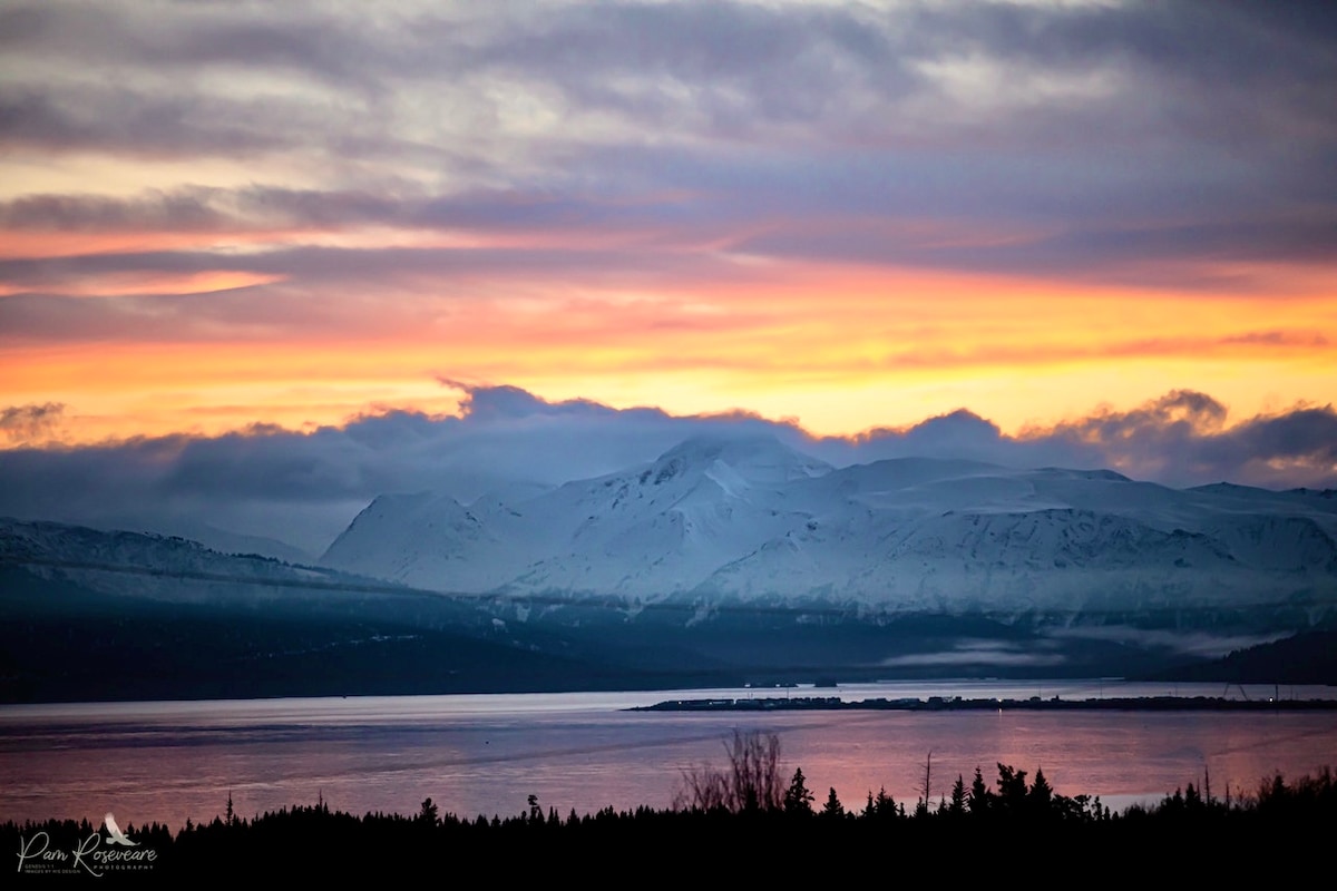 A wide view of snow-capped mountains is presented against a sunset sky, showcasing hues of orange and pink. The calm water of Kachemak Bay mirrors the colors above, while a foreground of dark trees adds depth to the tranquil scene.