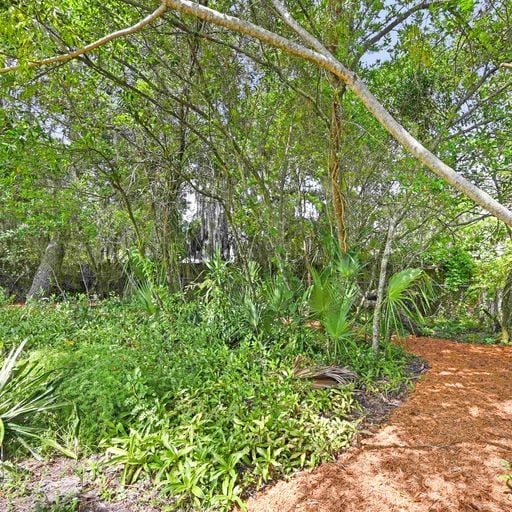 A winding path is visible through lush greenery, featuring a variety of plants and trees. Natural mulch lines the walkway, creating a connection to the surrounding landscape. Dappled sunlight filters through the foliage, enhancing the tranquil outdoor space.