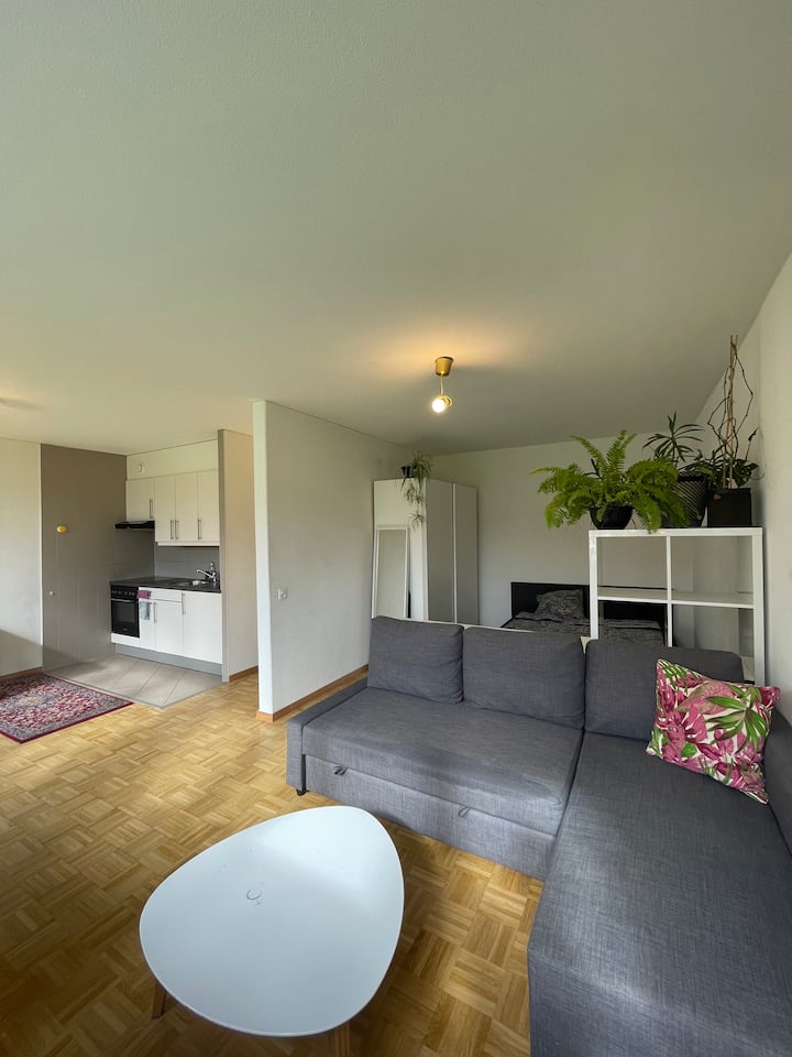 Nyon District Vacation Rentals & Homes Switzerland Airbnb