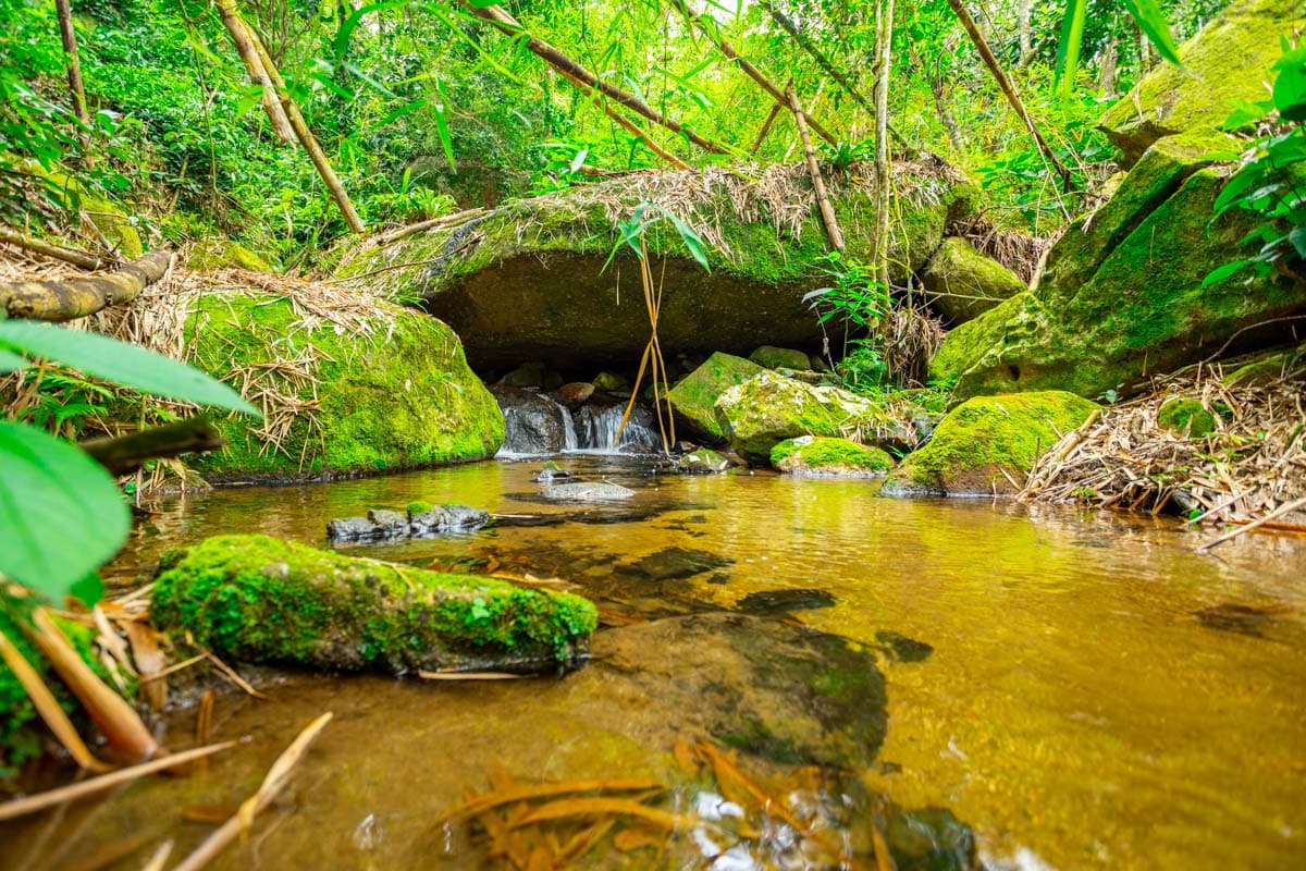 Waterfall View at Casa Natu Ilhabela Studio Feiticeira with Jacuzzi in Ilhabela