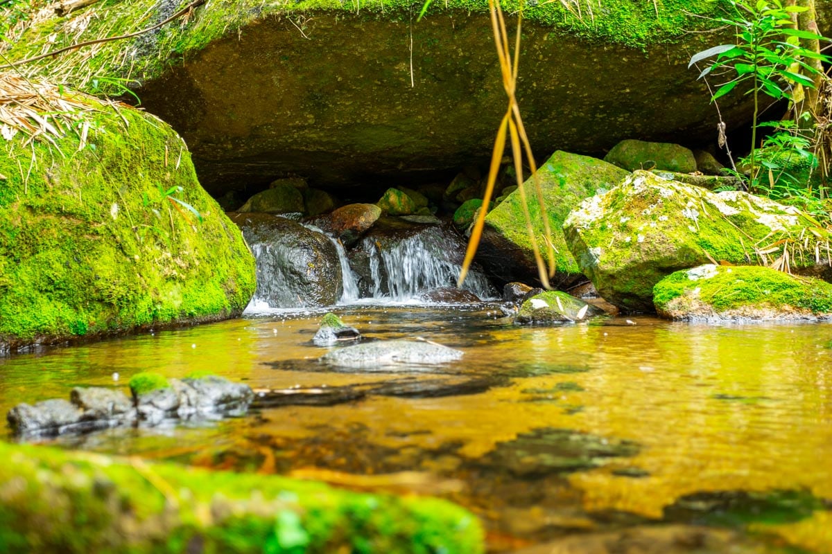Waterfall at Casa Natu Ilhabela Studio Portinho with Jacuzzi in Ilhabela