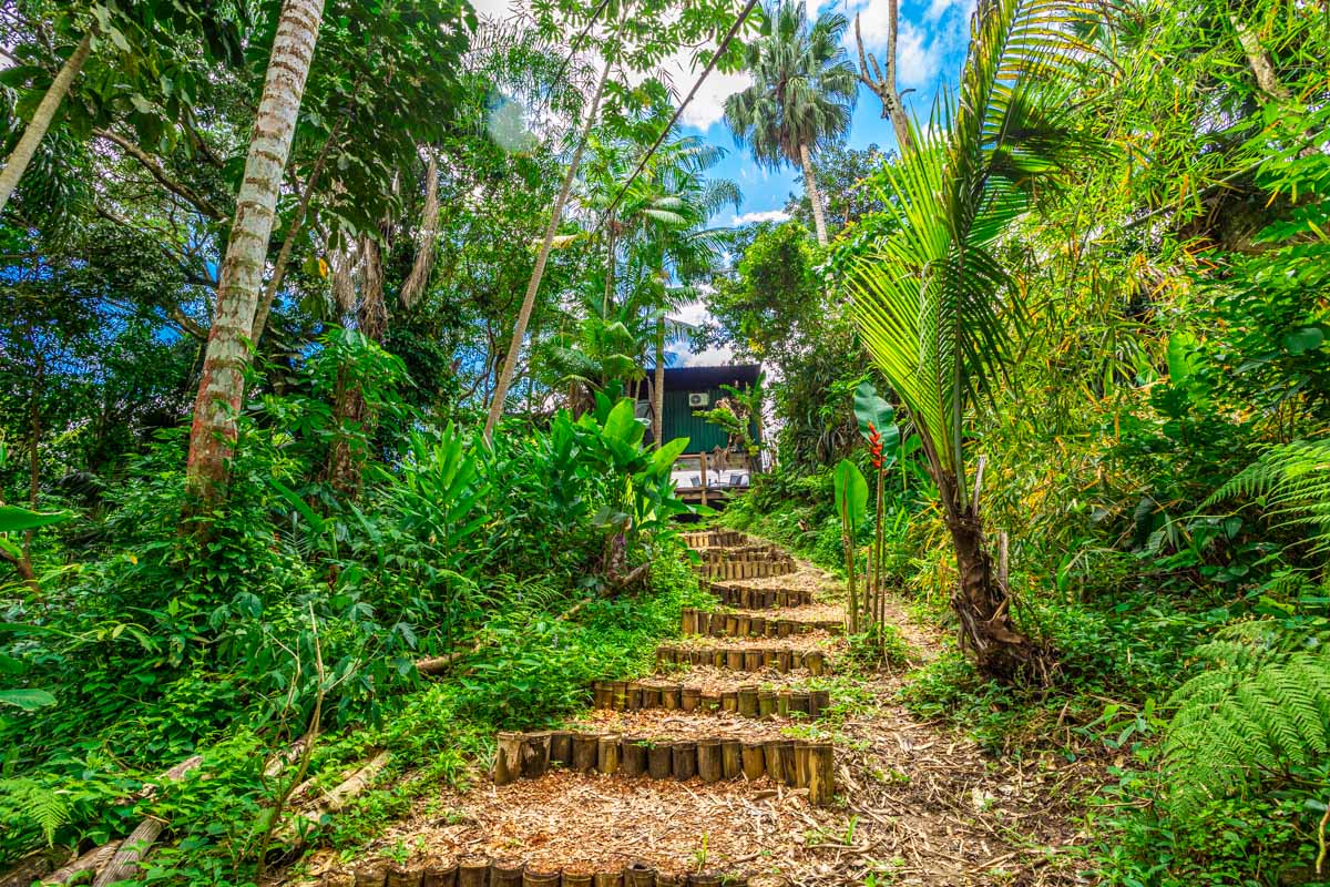 Waterfall Trail at Casa Natu Ilhabela Studio Portinho with Jacuzzi in Ilhabela