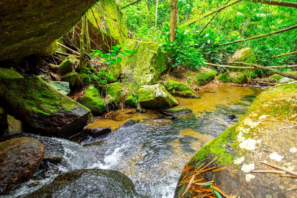 Waterfall at Casa Natu Ilhabela Studio Portinho with Jacuzzi in Ilhabela