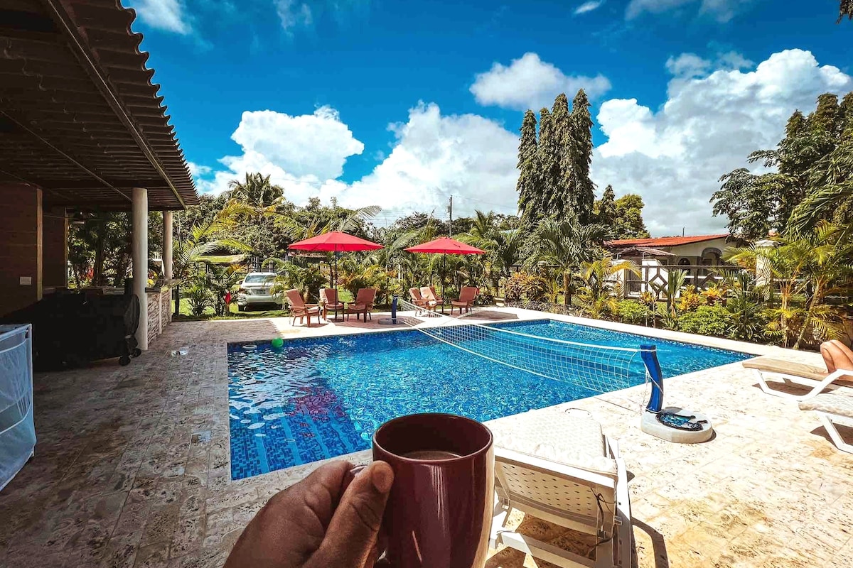 A serene outdoor space features a large saltwater pool surrounded by multiple lounge chairs and red umbrellas. Lush greenery is visible in the background, providing a tropical setting under a bright blue sky. A hand holds a beverage in the foreground, adding depth to the scene.