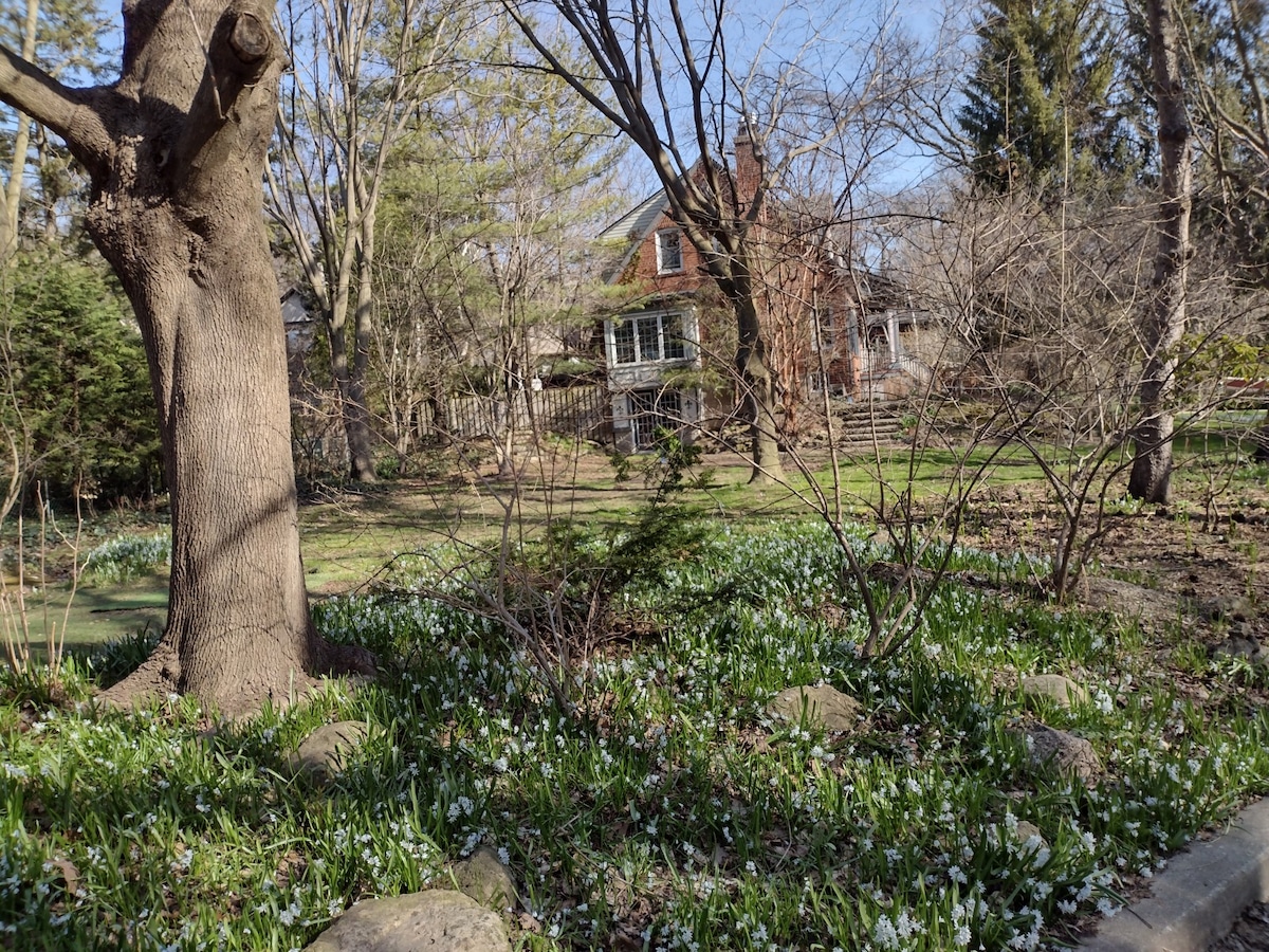 A view of a large garden showcases an array of green grass and white flowers among rocks and trees. An old English-style house is visible in the background, surrounded by foliage and distant trees, creating a serene outdoor environment.