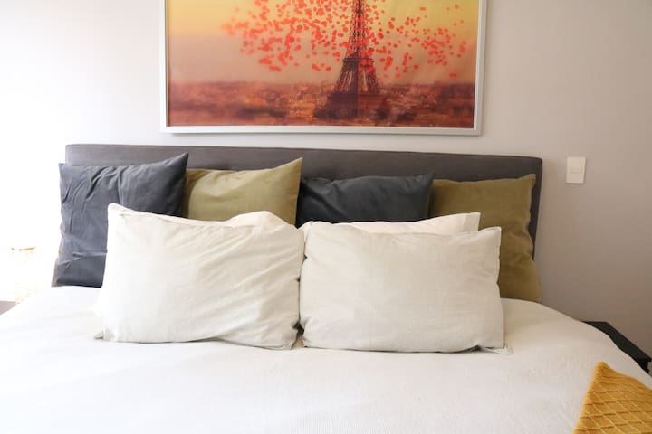 México CDMX Sur – Coyoacan -Centro – King Bed