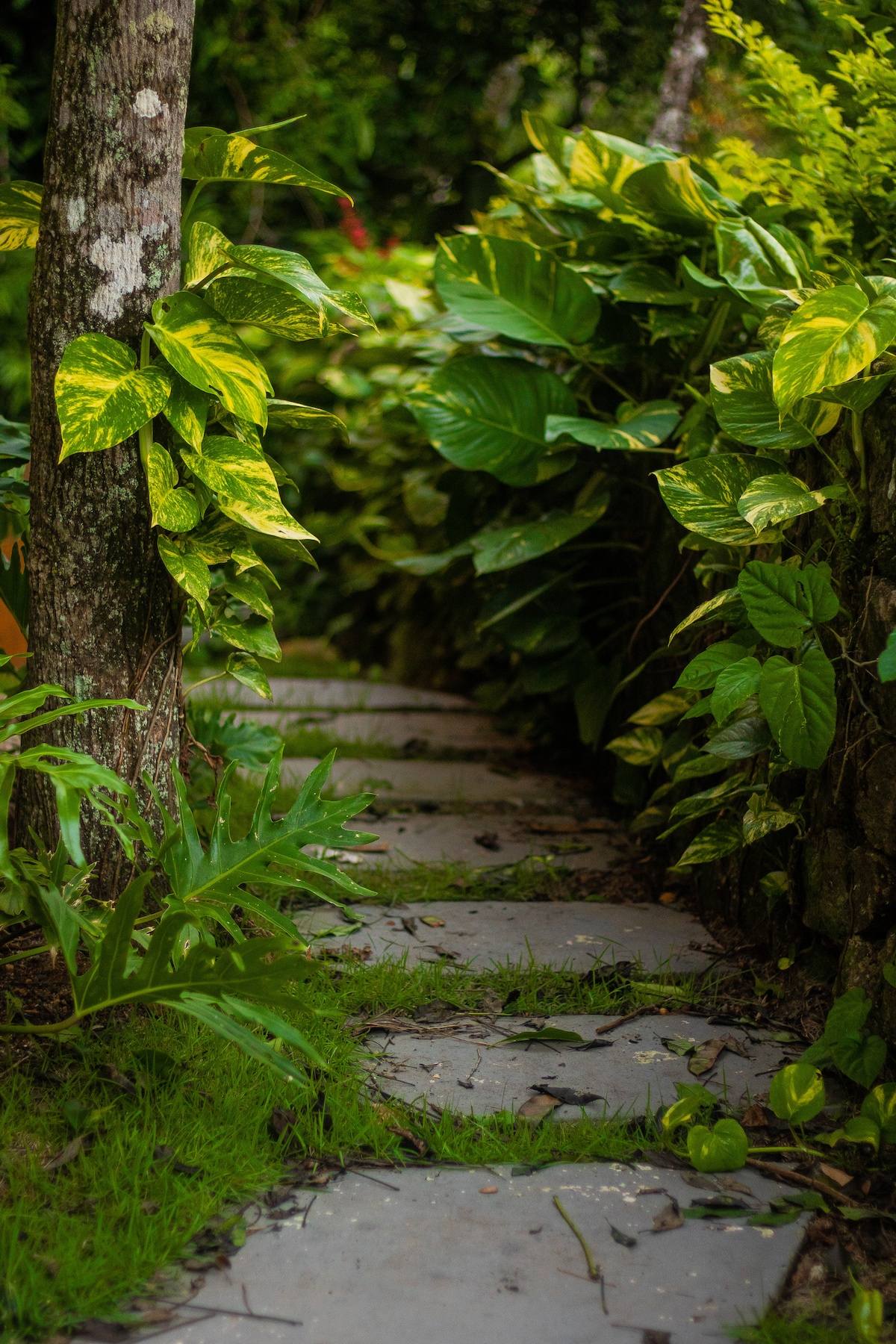 Details at Casa Natu Ilhabela Bonete Studio with Jacuzzi in Ilhabela