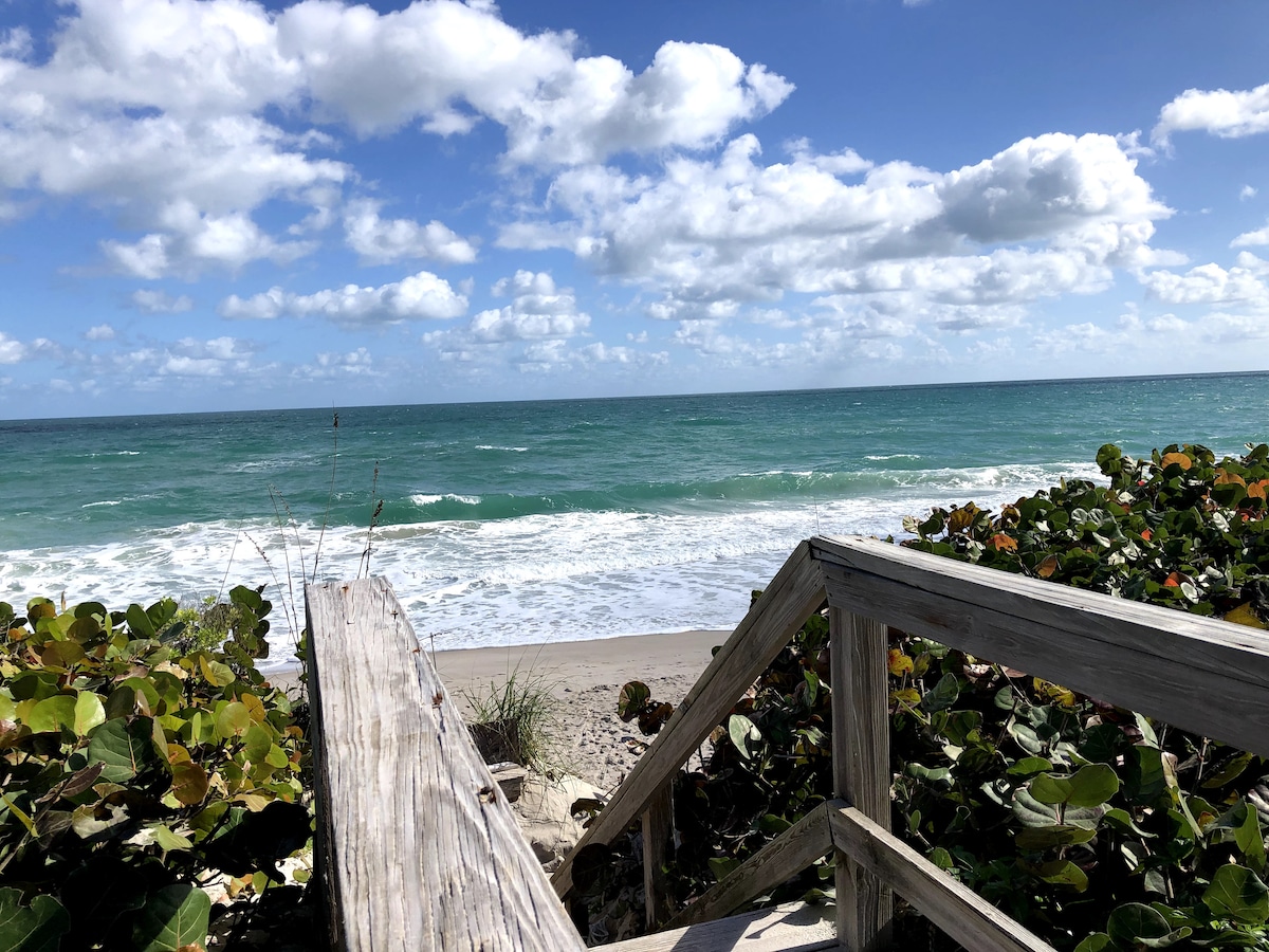A wooden staircase descends toward a sandy beach, surrounded by vibrant greenery. The ocean is visible in the background, with gentle waves and a bright blue sky dotted with white clouds.